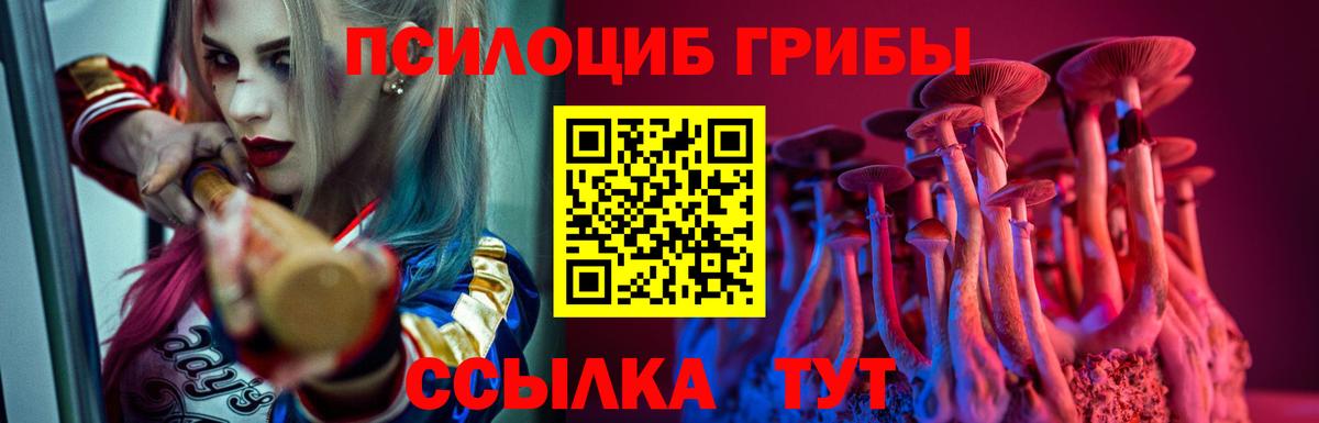 Галлюциногенные грибы прущие грибы  Вход с VPN  сколько стоит  Красноярск  Галлюциногенные грибы Psilocybe 