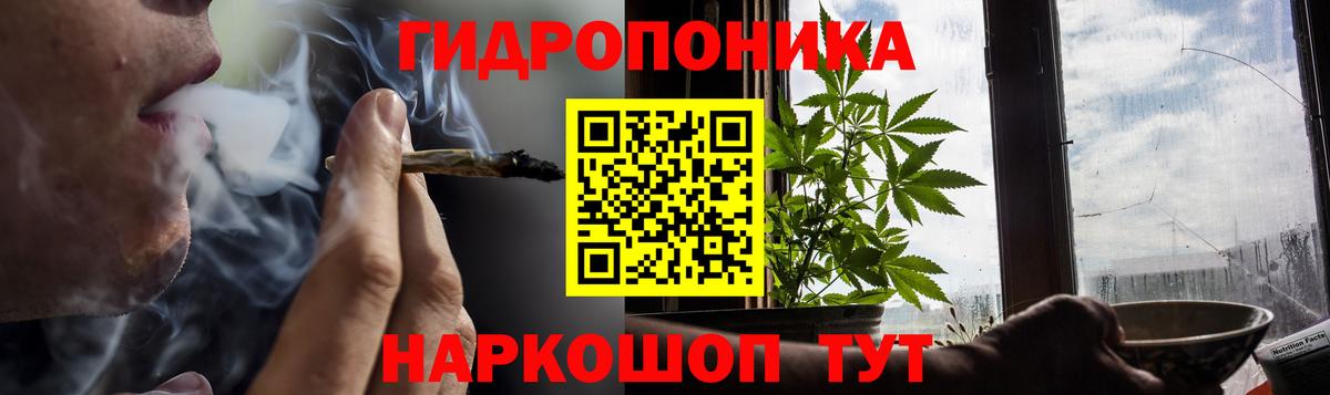 Шишки марихуана семена Красноярск